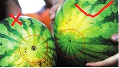 彩虹圈热点吃瓜,揭秘网络吃瓜背后的狂欢与争议