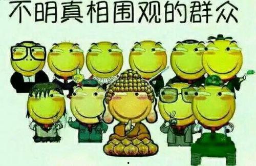 吃瓜群众许某人,吃瓜群众视角下的生活点滴