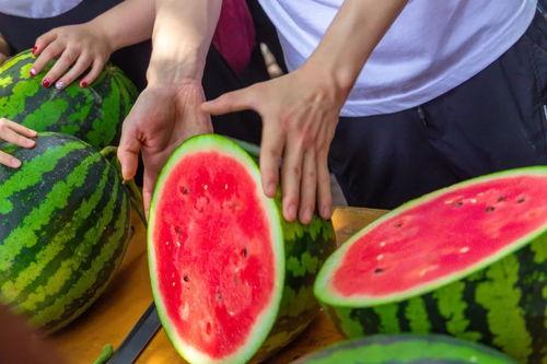 山东济南大学吃瓜